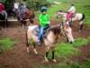 horsebackriding_small.jpg