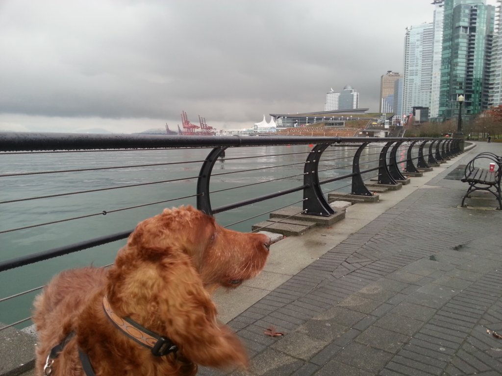 maggieatthevancouverwaterfront.jpg