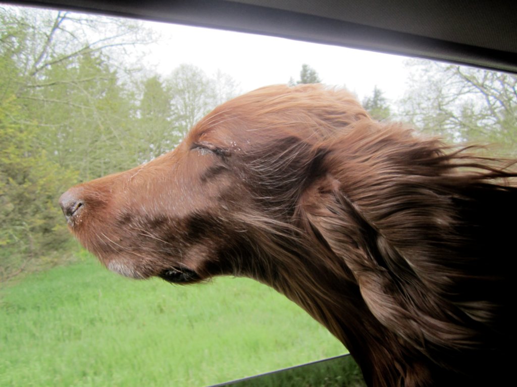 drivingtothecannonbeach.jpg