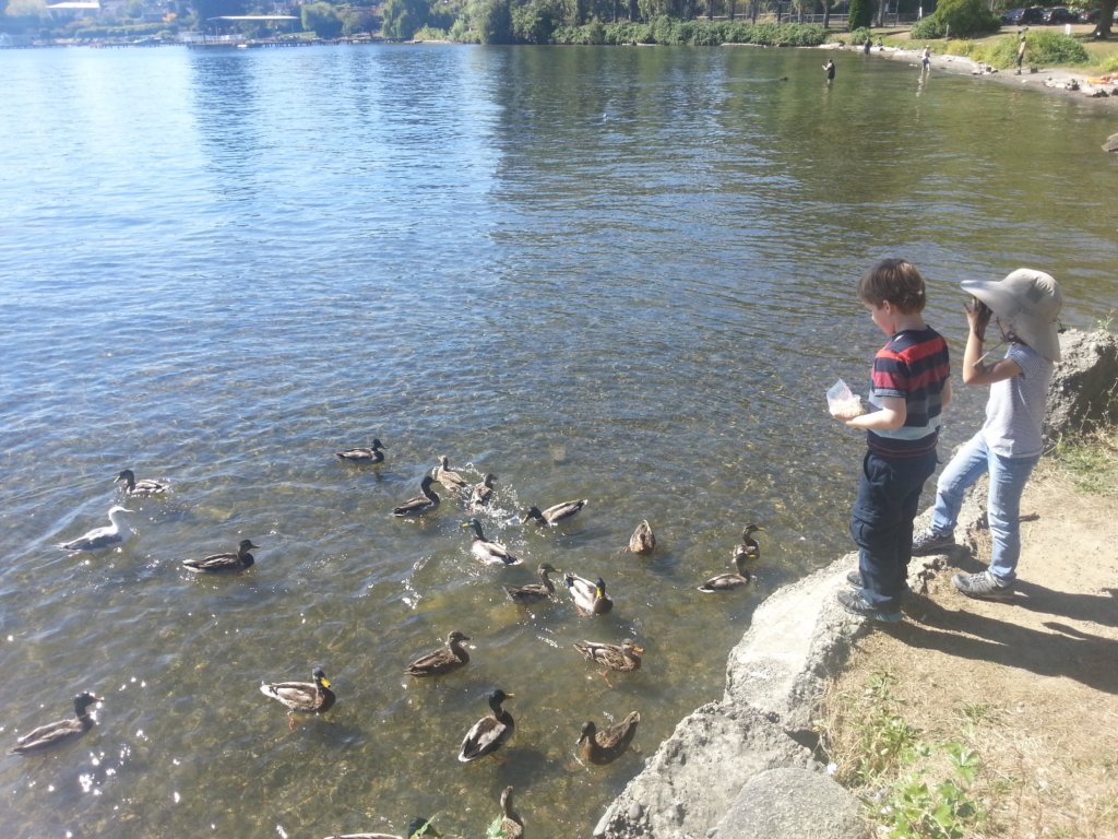 feedingduckswithalex.jpg