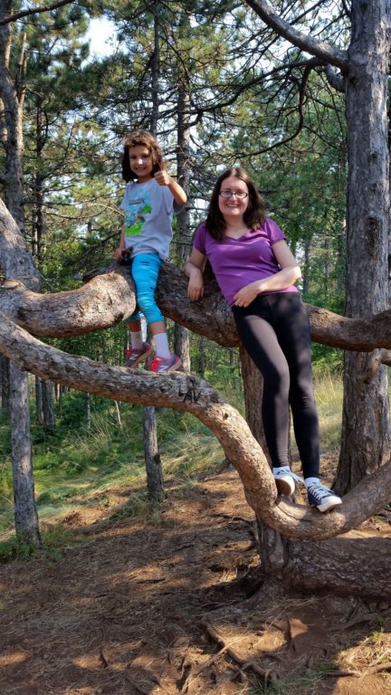 climbingatreewithmommy.jpg