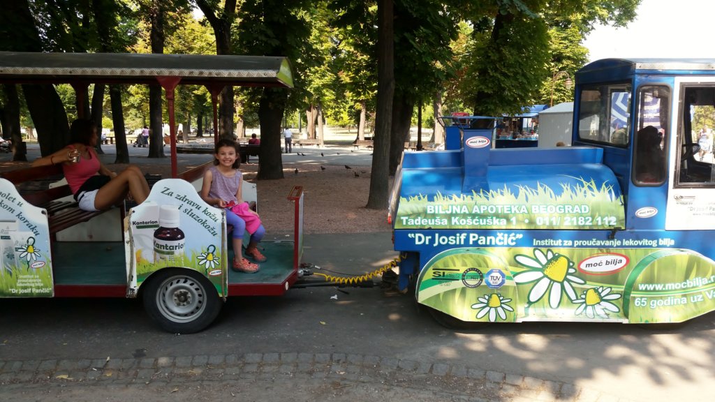 trainrideonkalemegdan.jpg