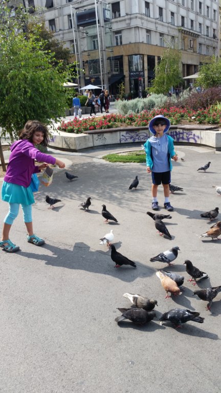 feedingthepigeonsatthecitycenter.jpg