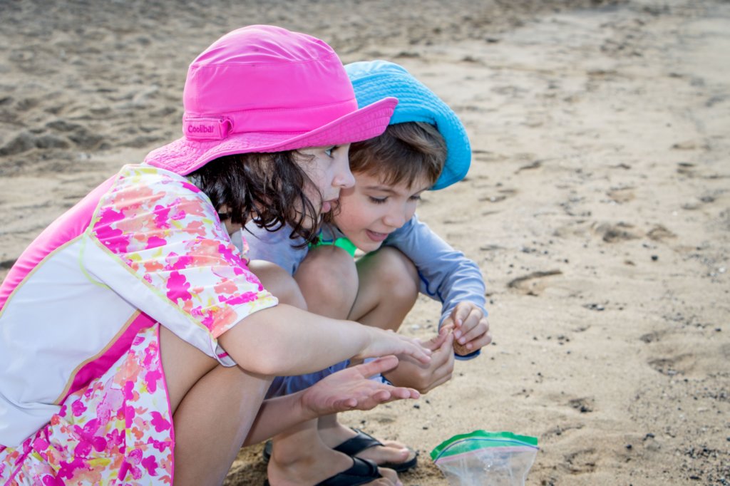 lookingforseashells.jpg